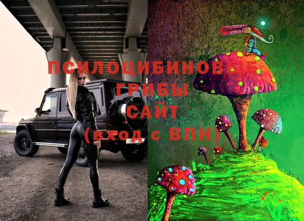 шишки Алексеевка
